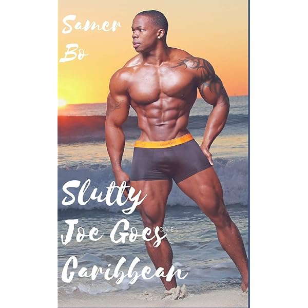 Barely Working: Raphael, Adam: 9781576874493: Amazon.com: Books